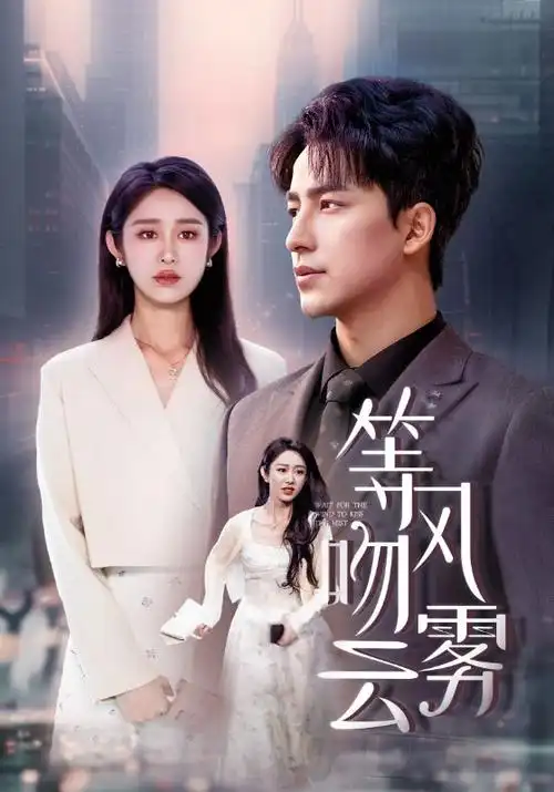 迷雾追踪悬疑剧海报